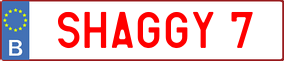 Trailer License Plate